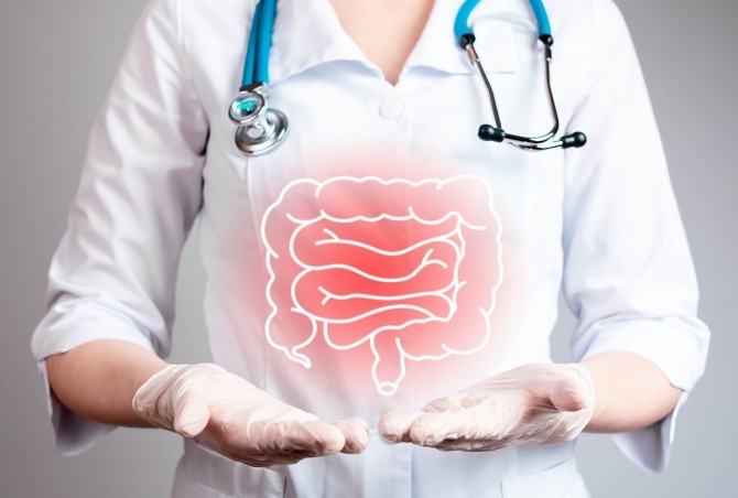 imagen de Síndrome de Intestino irritable desde la Medicina Integrativa